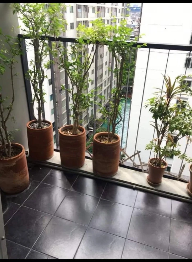ให้เช่า A space Asoke-Ratchada 1 ห้องนอน 1 ห้องน้ำ ในทำเลดี เฟอร์ครบครัน รีบจองเลยตอนนี้