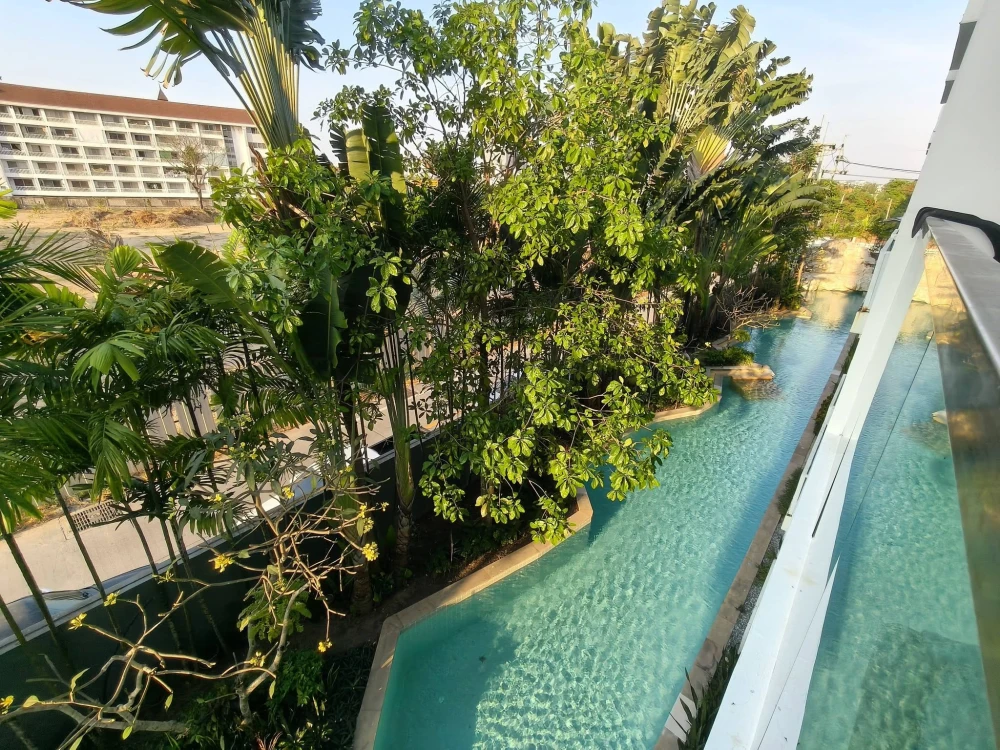ให้เช่า Amazon residence พัทยา (จอมเทียน) ห้องกว้าง ไม่อึดอัด มีของใช้ครบทุกอย่าง ย้ายกระเป๋าเข้าอยู่ได้เลย