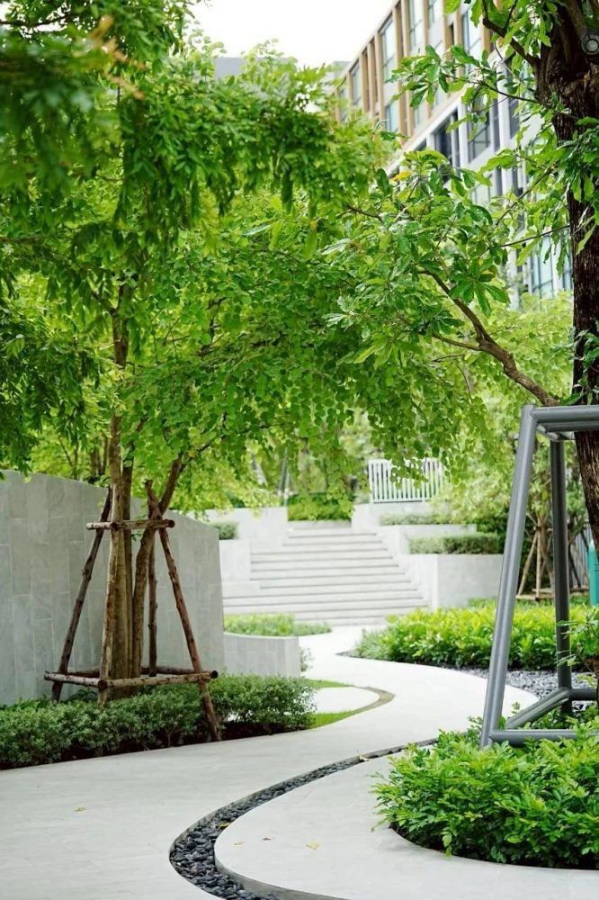 ให้เช่า Atmoz Tropicana Bangna สอ้งอำนวยความสะดวกจัดเต็ม ในทำเลเริ่ดๆ จองก่อนได้ก่อน