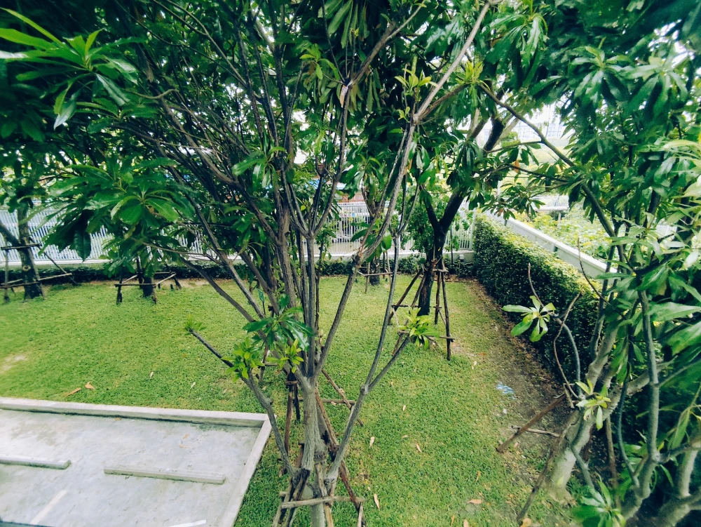 ให้เช่า Atmoz Tropicana Bangna ห้อวพร้อมอยู่ เฟอร์ เครื่องใช้ไฟฟ้าครบ รีบมาจับจองเลย อย่าช้า
