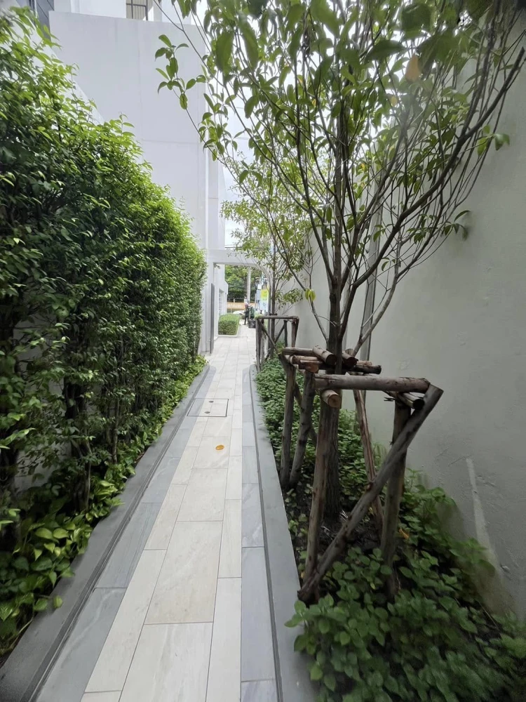 ให้เช่า  BLUE SUKHUMVIT 105  ห้องพร้อมอยู่ ราคาดี หิ้วกระเป๋ามาได้เลย+++