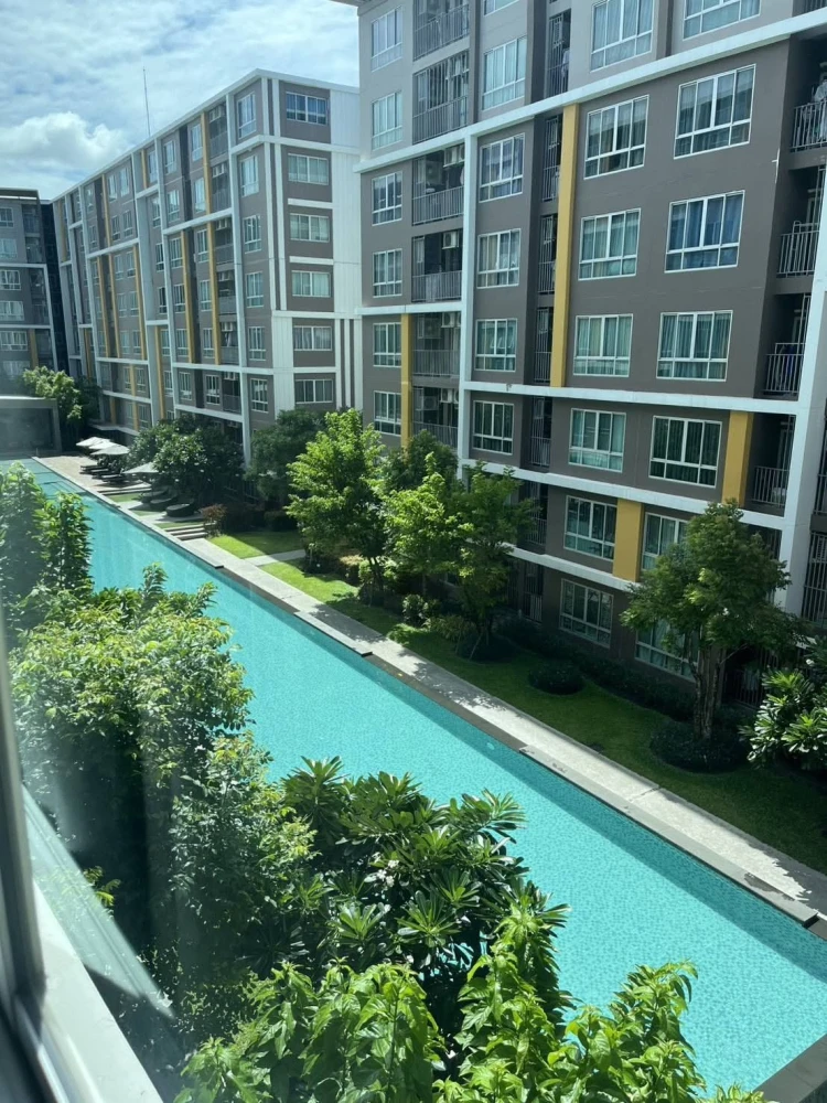 ให้เช่า D Condo Campus Resort Bangsaen ห้องชั้น 4 มาพร้อมเฟอร์นิเจอร์ครบครัน วิวสระ ห้ามพลาด