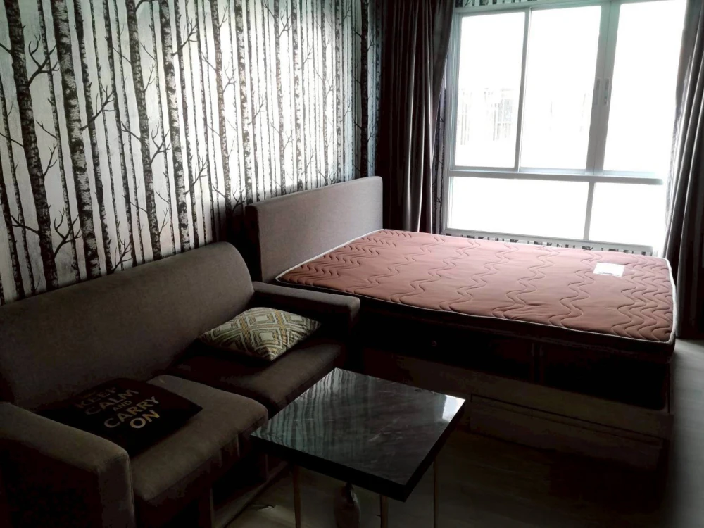 ให้เช่า Dcondo Campus Kampangsaen ห้องน่าอยู่ ตกแต่งครบครัน สนใจจองเลย