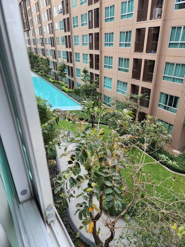 ให้เช่า Dcondo Campus Kampangsaen ห้องมุมให้ความเป็นส่วนตัว เฟอร์นิเจอร์ครบครัน จองเลย