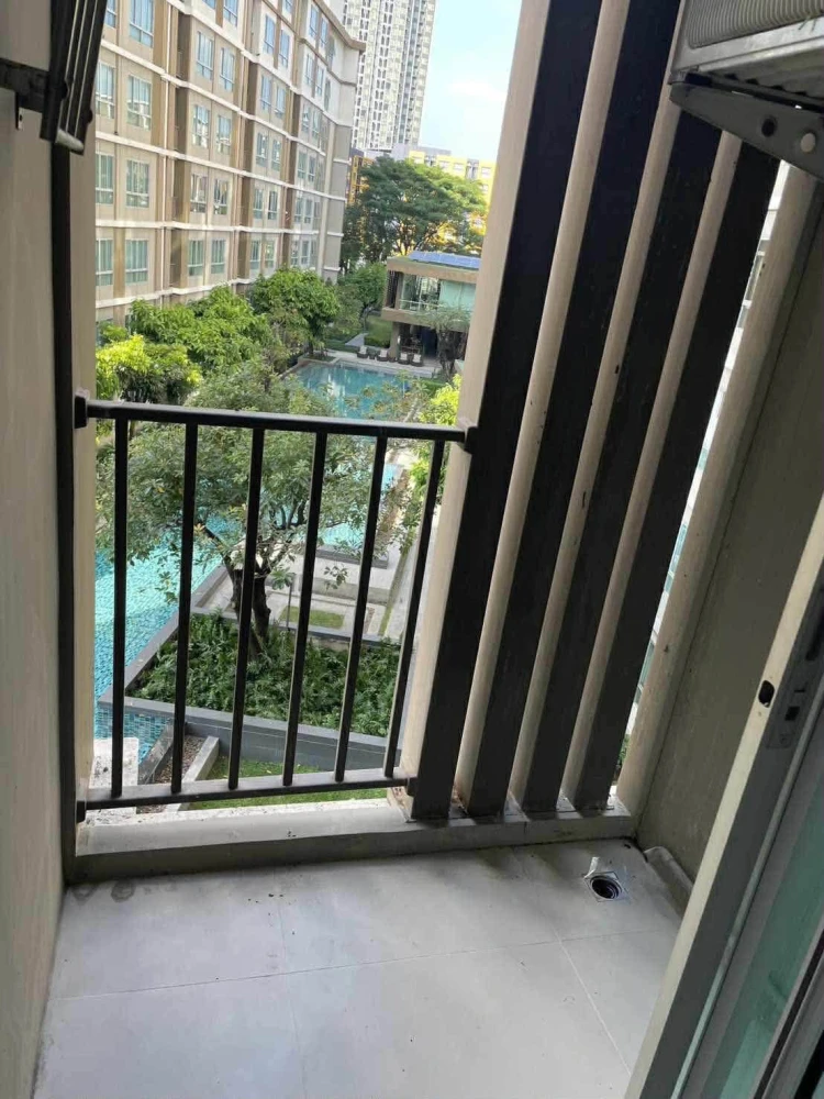 ให้เช่า dcondo Campus Resort Rangsit 2 ห้องพร้อมอยู่ สิ่งอำนวยความสะดวกครบ ราคาคุ้ม จองเลย อย่าพลาด