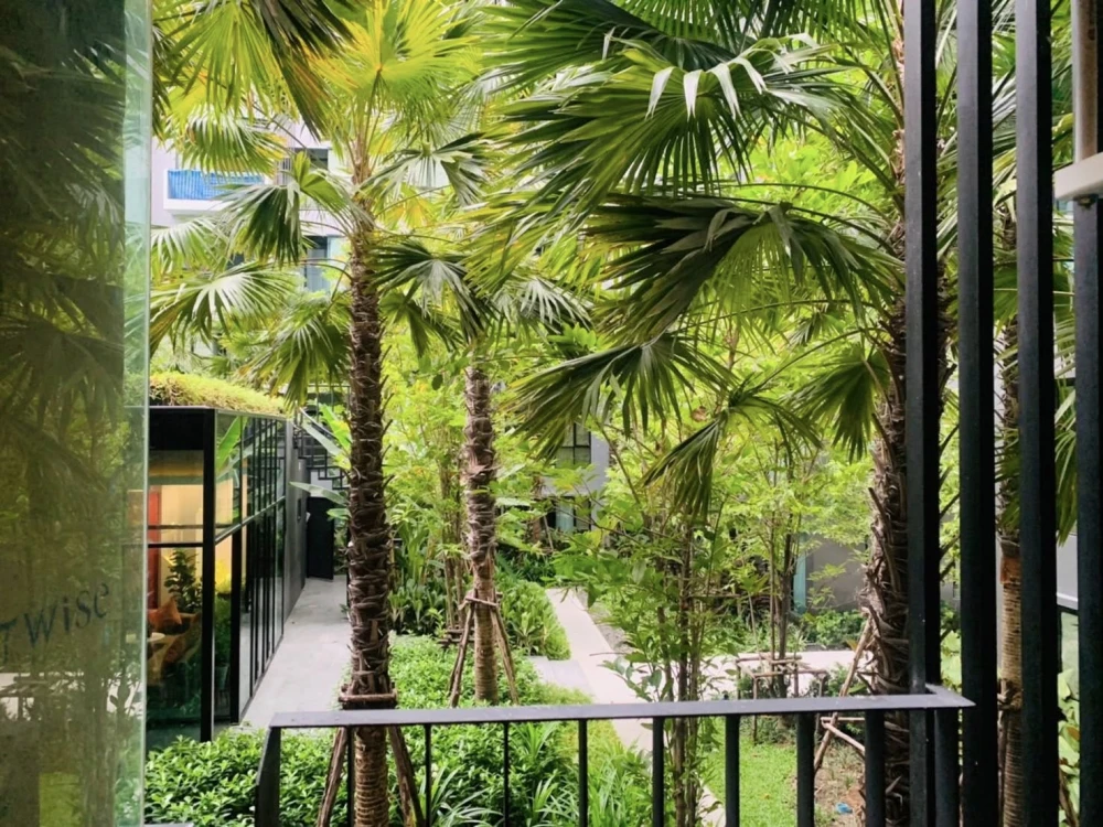 ให้เช่า Kave Town Shift  ห้องพร้อมเข้าอยู่ สิ่งอำนวยความสะดวกพร้อม จองเลย