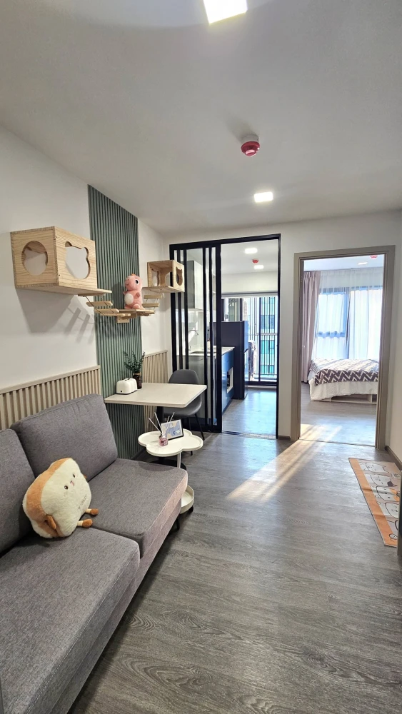 ให้เช่า Kave Wonderland ชั้น 5 วิวสระ ห้องสวย แต่งครบ น่าอยู่ จองเลย ด่วนๆจ้า