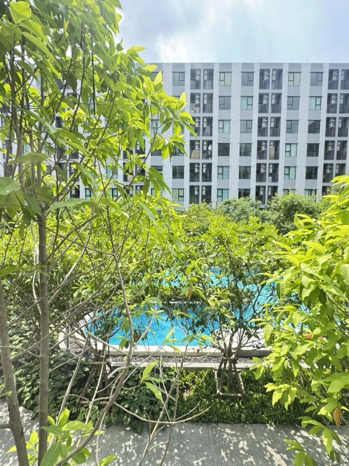 ให้เช่า Kave Wonderland Type One Bedroom Extra 28 ตร.ม. วิวสระว่ายน้ำ ตกแต่งดูดีน่าอยู่มากๆ รีบจองเลย