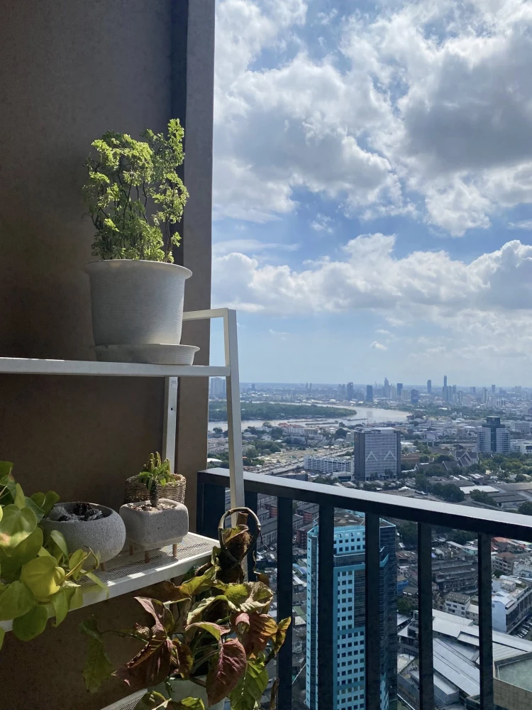 ให้เช่า OKA HAUS Sukhumvit 36 ชั้น 47 สูงสุดยอด ได้วิวเมืองเห็นแม่น้ำสวยปัง ตกแต่งบิวท์อินเริ่ดๆ ห้ามพลาด