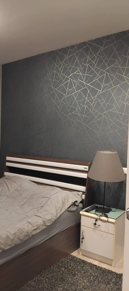 ให้เช่า Plum Condo Central Station ห้องชั้นสูง วิวเมือง พร้อมเฟอร์รีบจองเลย