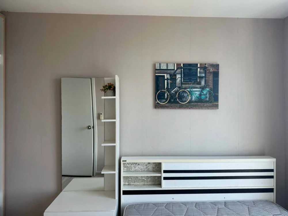 ให้เช่า Plum Condo Chokchai 4 ชั้น 8 ห้องน่าอยู่ มาพร้อมการตกแต่งที่ครบครัน จองเลย