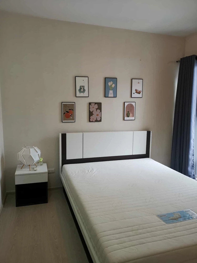 ให้เช่า Plum Condo Park Rangsit ชั้น 6 วิวสระ แต่งครบ น่าอยู่ จองเลย ด่วนๆ