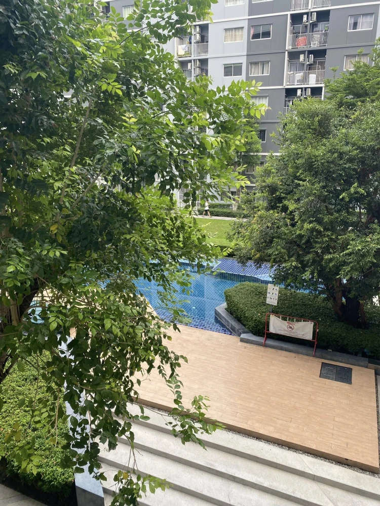 ให้เช่า Plum Condo Park Rangsit ห้องชั้น 3 ในทำเลดี วิวสระ ไม่ร้อน เดินทางสะดวก จองเลยจ้า