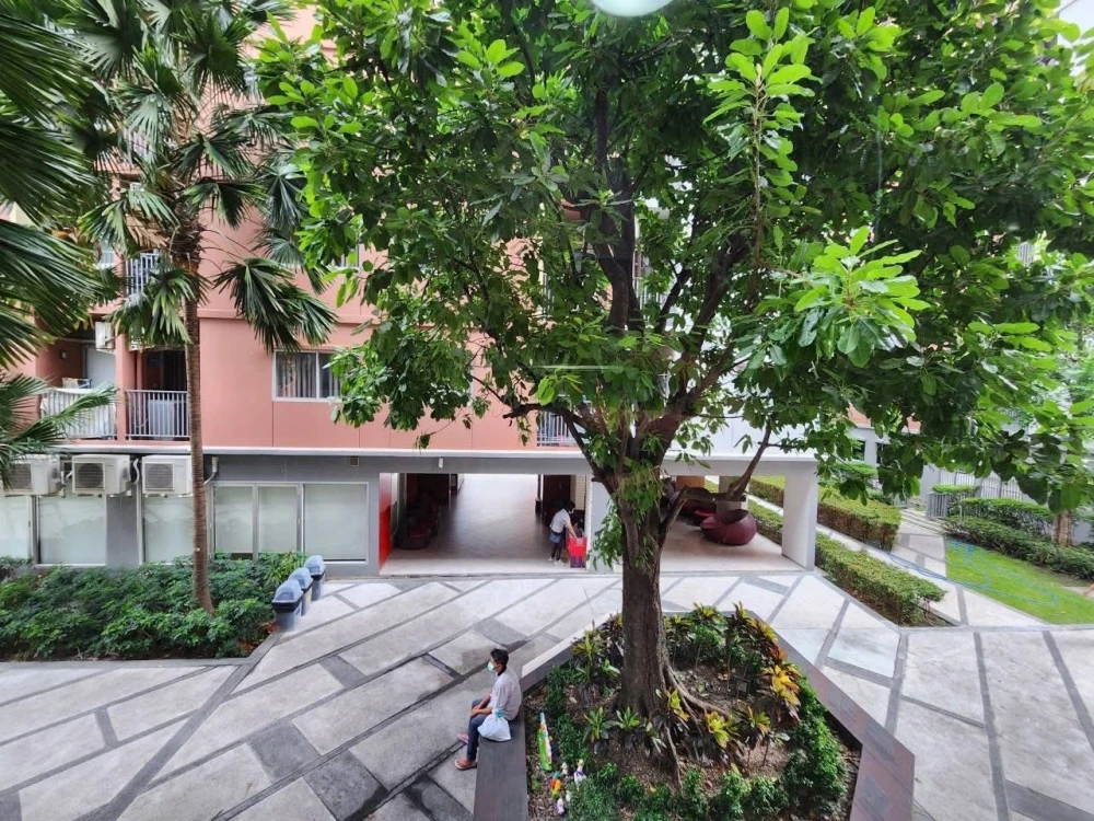ให้เช่า Plum Condo Park Rangsit ห้องพร้อมเข้าอยู่ เฟอร์พร้อม รีบจองเลย+++