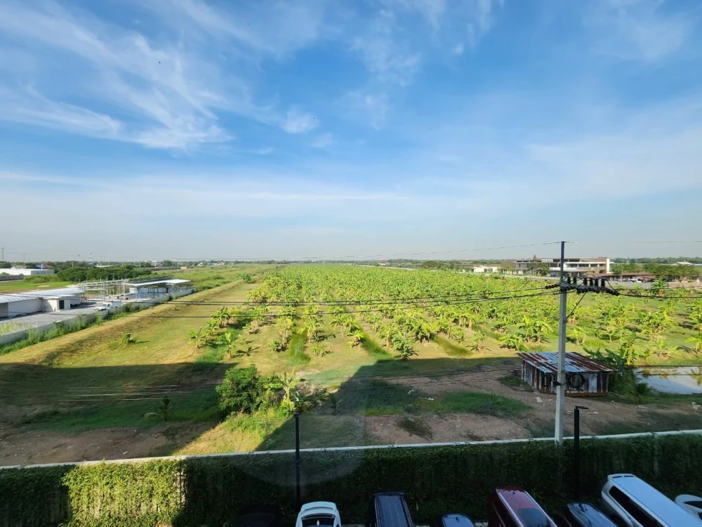 ให้เช่า Plum Condo Rangsit Alive 1 ห้องกั้นแยกชัดเจน ราคอย่างโดน คบจบที่เดียว คุณต้องไม่พลาด