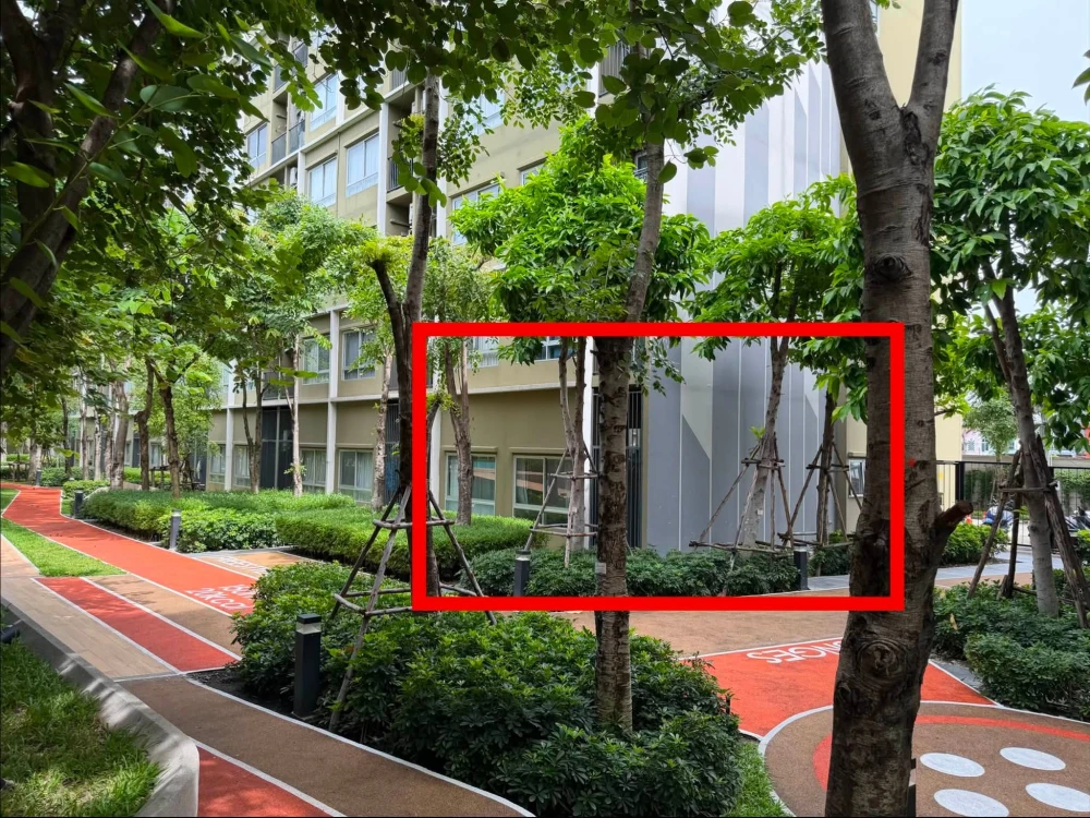ให้เช่า Plum Condo Rangsit Alive 2 ห้องน่าอยู่ ในทำเลดี มาพร้อมสิ่งอำนวยความสะดวกครบครัน รีบจองเลยจ้า