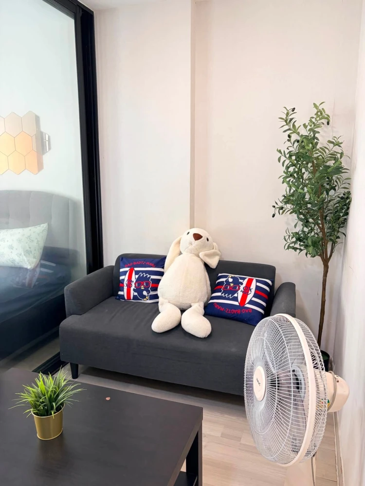 ให้เช่า Plum Condo Saphanmai Station ห้องสวย กั้นเป็นสัดส่วน แต่งครบ จองเลย