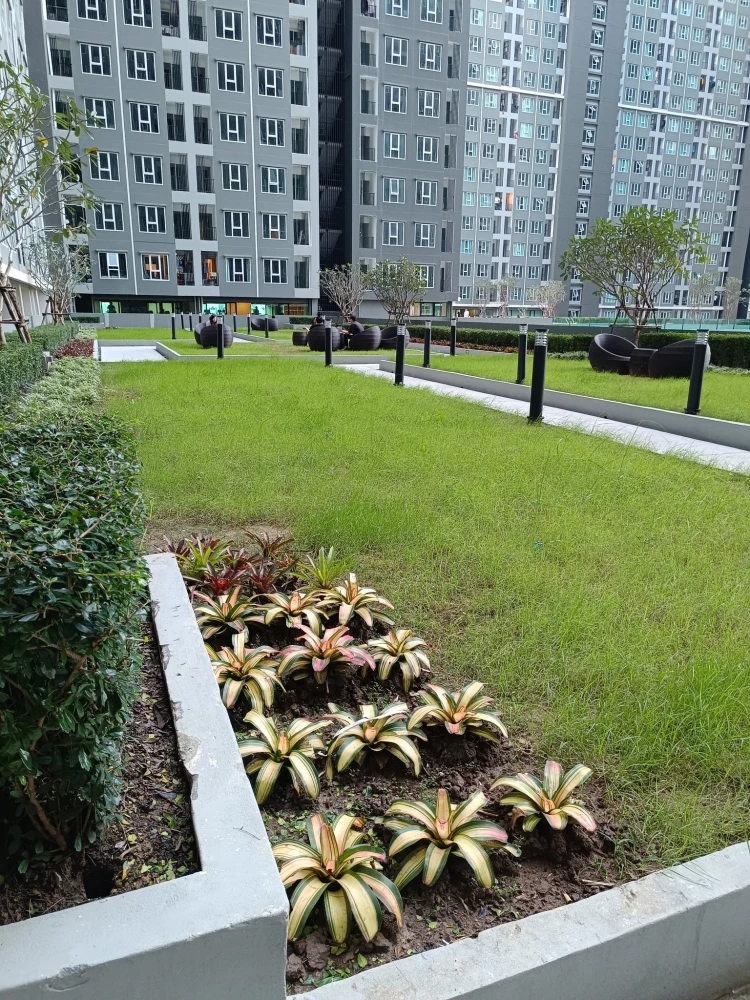 ให้เช่า Regent Home Bangna ห้องพร้อมอยู่ เฟอร์พร้อม ชั้นสูง จองเลย