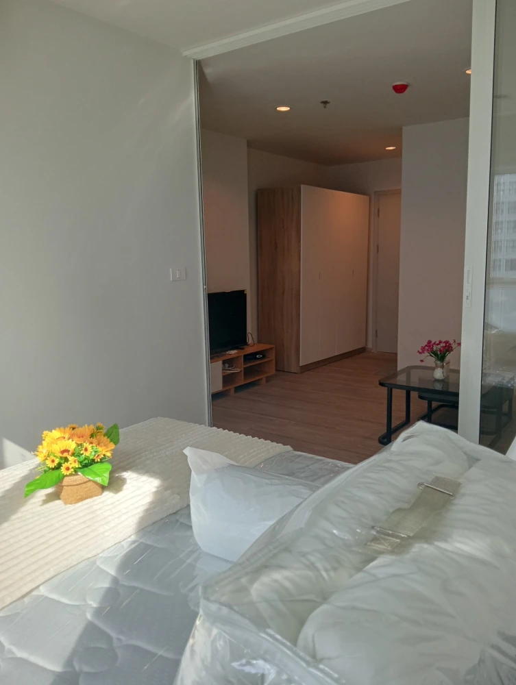 ให้เช่า Regent Home Bangna ห้องสวย แต่งครบพร้อมอยู่ พื้นที่ใช้สอย 28 ตรม. ชั้น 7 อาคาร A สนใจจองเลย