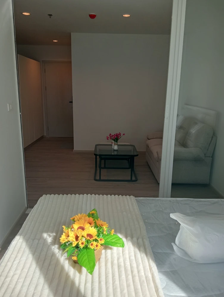 ให้เช่า Regent Home Bangna ห้องสวย แต่งครบพร้อมอยู่ พื้นที่ใช้สอย 28 ตรม. ชั้น 7 อาคาร A สนใจจองเลย