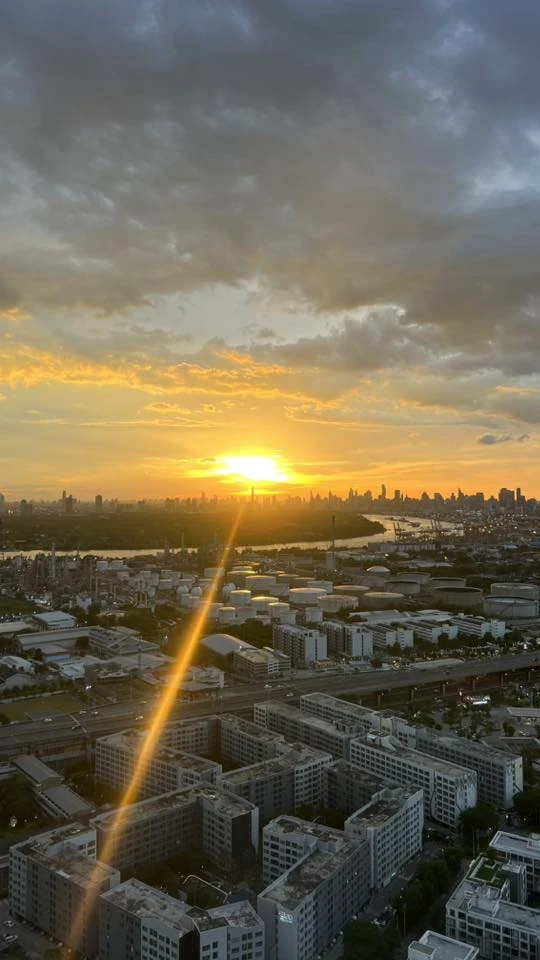 ให้เช่า SKYRISE Avenue Sukhumvit 64 3 ห้องนอน พื้นที่ใช้สอยเยอะ ทำเลดี วิวสวย รีบจองเลยตอนนี้จ้า