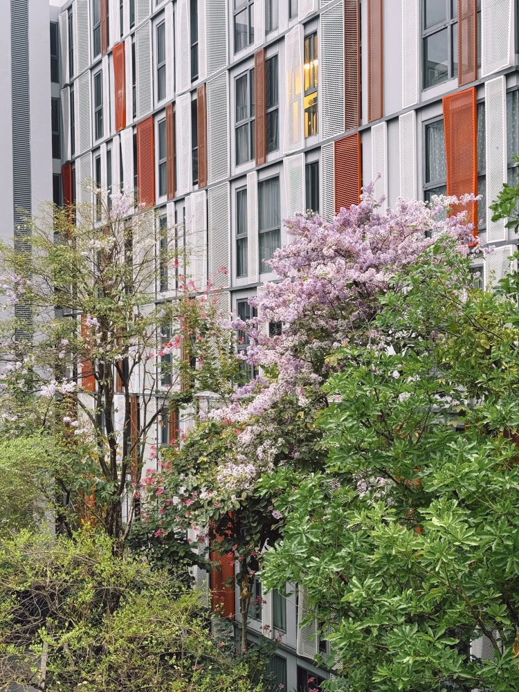 ให้เช่า Taka Haus เอกมัย 12 ห้องตกแต่งครบด้วยเฟอร์นิเจอร์จาก Muji บรรยากาศเงียบสงบ เป็นส่วนตัว ห้ามพลาด