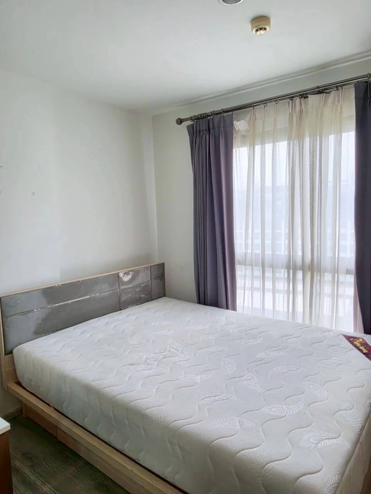 ให้เช่า The Excel Bearing Lasalle 11 ห้องน่าอยู่ เฟอร์รพ้อม เครื่องใช้ไฟฟ้าครบ จองเลย