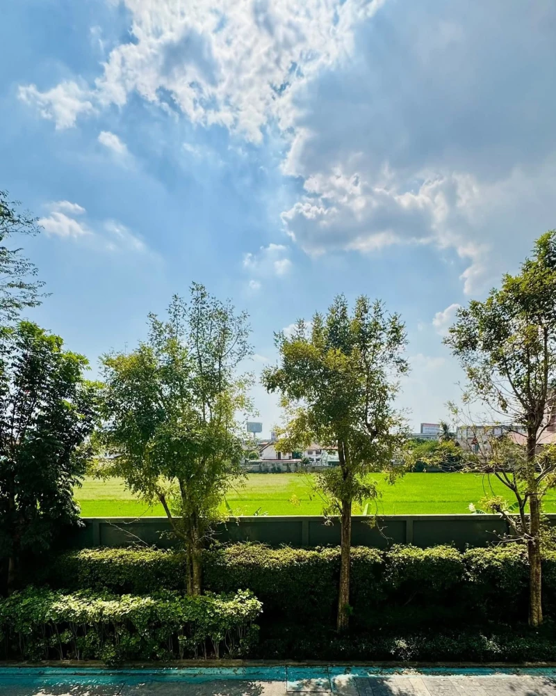 ให้เช่า The IRIS Bangya เราเตรียมเฟอร์นิเจอร์ชิ้นหลักที่จำเป็นไว้ให้ครบ ผนังติดเพื่อนบ้านแค่ฝั่งเดียว อีกฝั่งเป็นที่โล่ง เงียบสงบ เป็นส่วนตัวสุดๆ