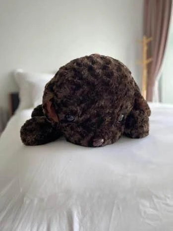 ให้เช่า The Issara Ladprao ห้องสตูดิโอ พื้นที่ใช้สอยเยอะ มาพร้อมเฟอร์ครบครัน หิ้วกระเป๋าเข้าอยู่ได้เลยจ้า