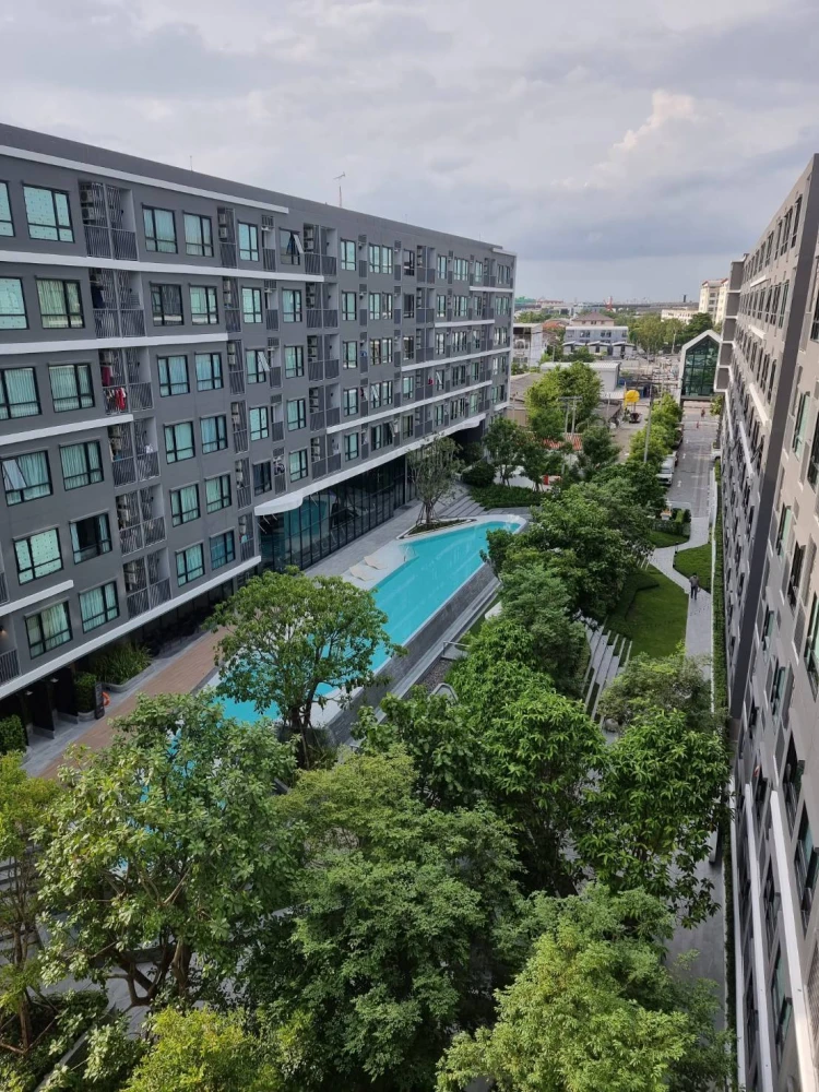ให้เช่า The Origin Sukhumvit 105 วิวสระน้ำ สวย โปร่ง โล่ง Walk-in closet พร้อมเฟอร์ครบ หิ้วกระเป๋าเข้าอยู่ได้เลย