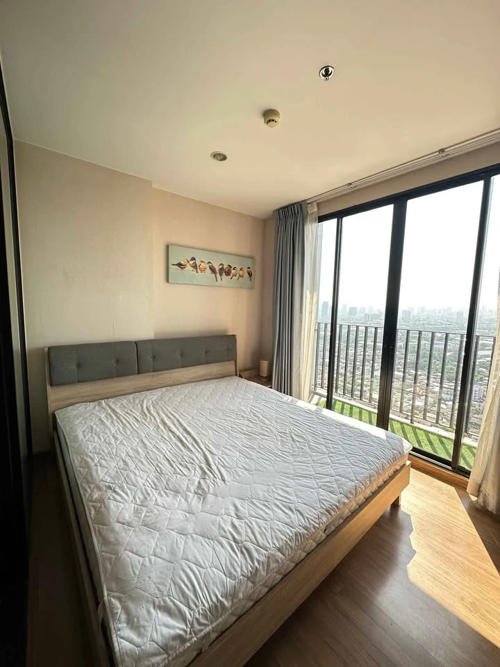 ให้เช่า The tree Interchange ห้องชั้นสูง น่าอยู่กว้างขวางอยู่สบาย จองเลย