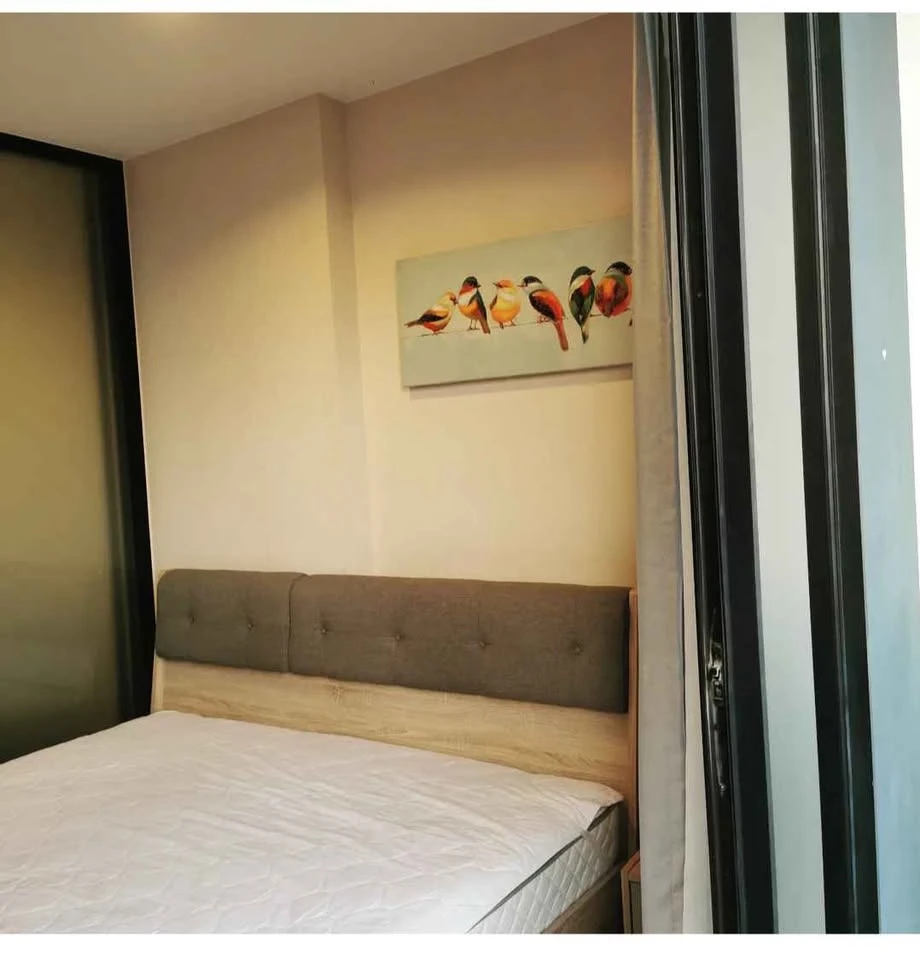 ให้เช่า The tree Interchange ห้องชั้นสูง น่าอยู่กว้างขวางอยู่สบาย จองเลย