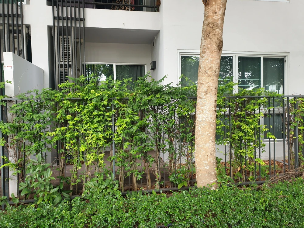 ใ้ห้เช่า Condo Natureza Art North Pattaya ห้องพร้อมอยู่ เฟอร์พร้อม ราคาสบายกระเป๋า รีบจองเลย