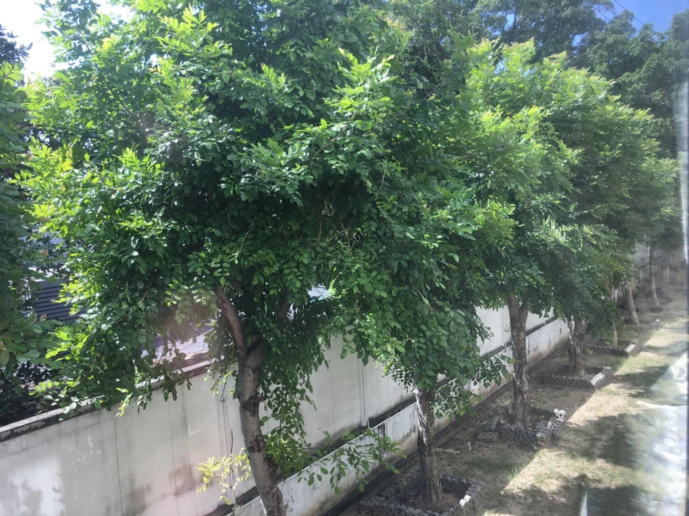 🎯🏢 ขายคอนโด Den Vibhavadi | ทำเลดี ติดถนนใหญ่ ใกล้รถไฟฟ้า! 🏢🎯