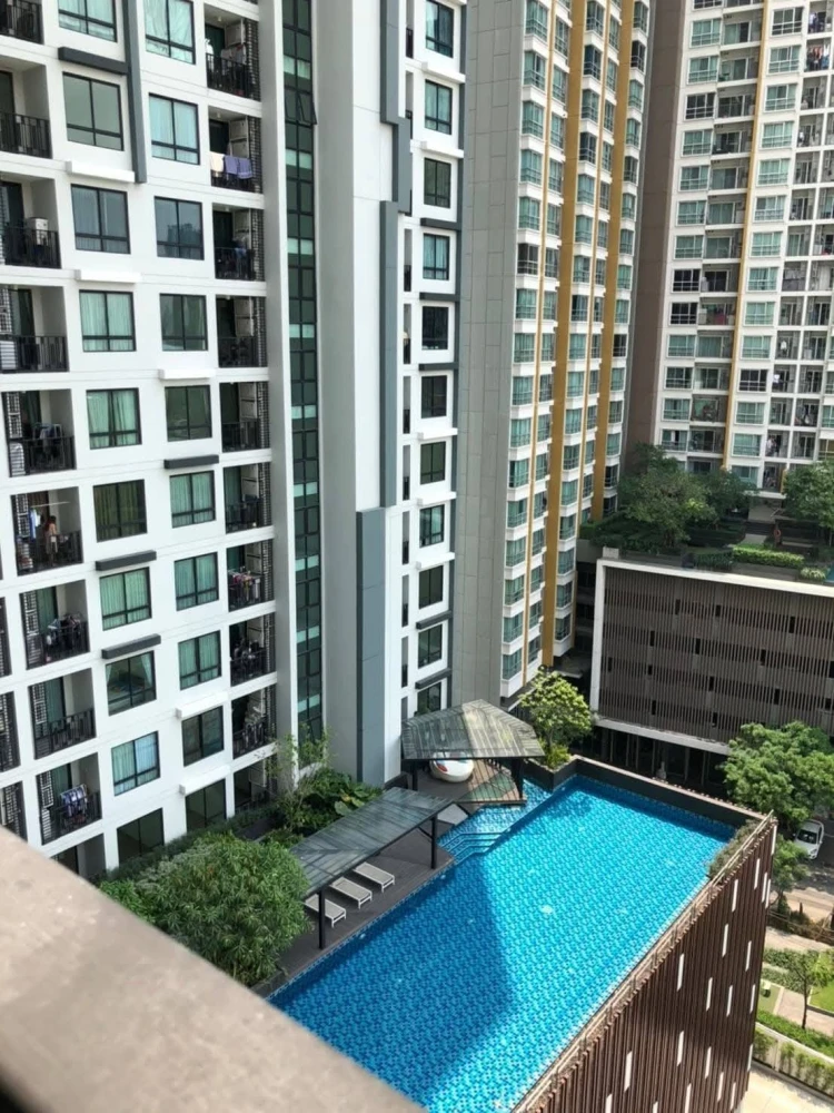 ✨ ขาย & ให้เช่า | Artemis สุขุมวิท 77 — 1 Bedroom วิวสระ ชั้นสูง 🌿