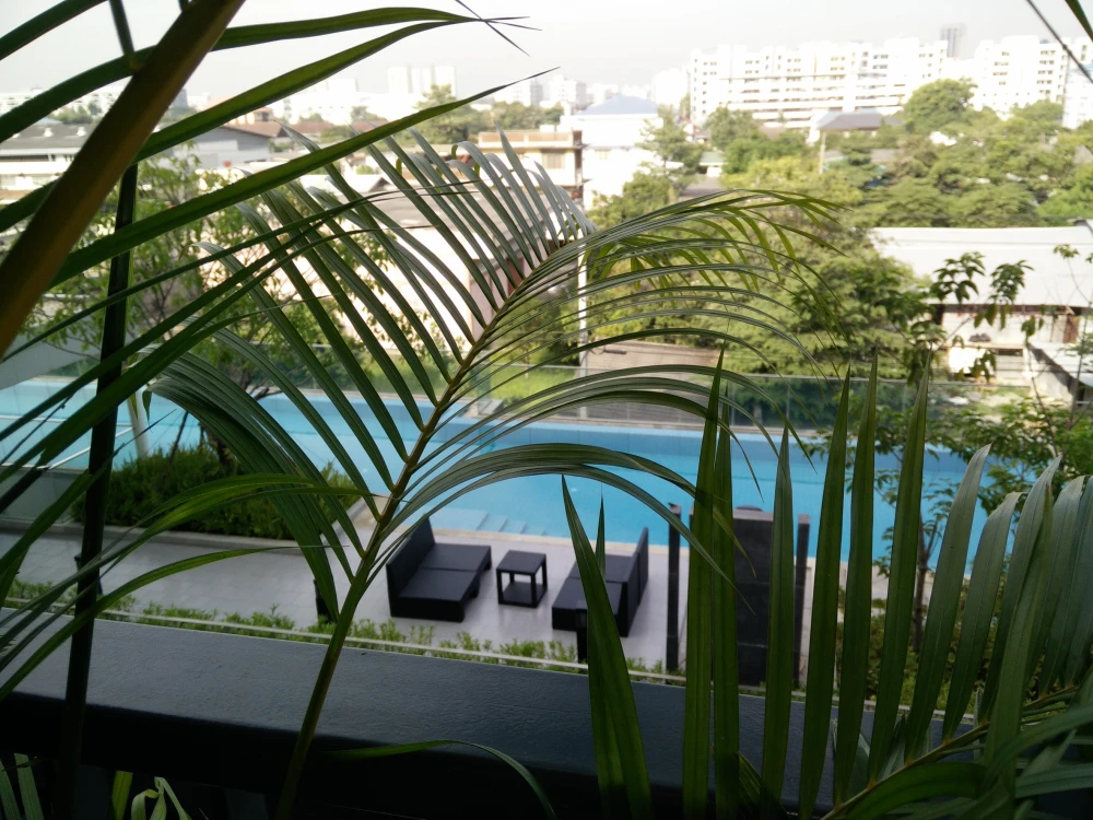 💙🏡 ขาย The Niche Mono Bangna ห้องสวย วิวสระ พร้อมอยู่! 🏡💙