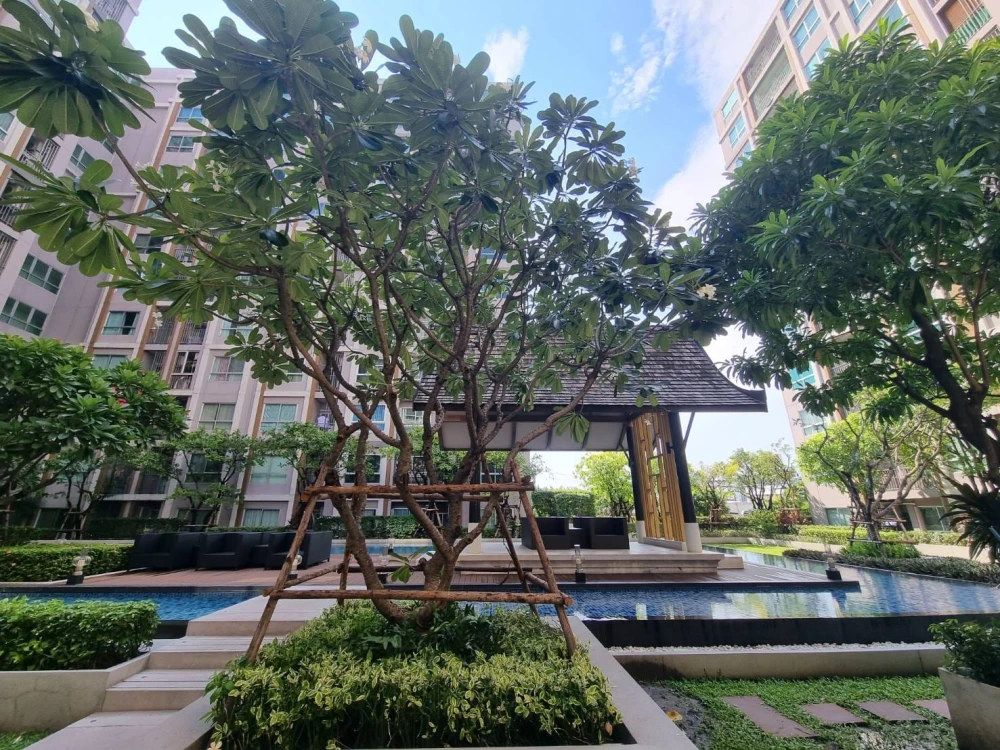 🏠🌃 ให้เช่า คอนโด ดีบุรา พรานนก 🏠🌃