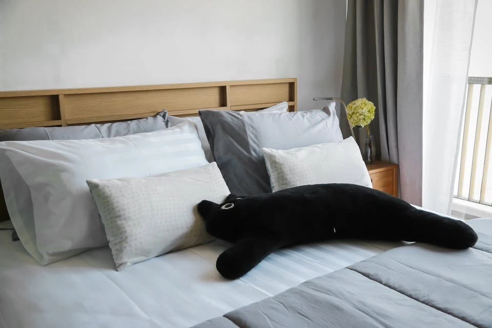 🏠🌃 ให้เช่า คอนโด บี เเคมปัส ประชาชื่น 🏠🌃