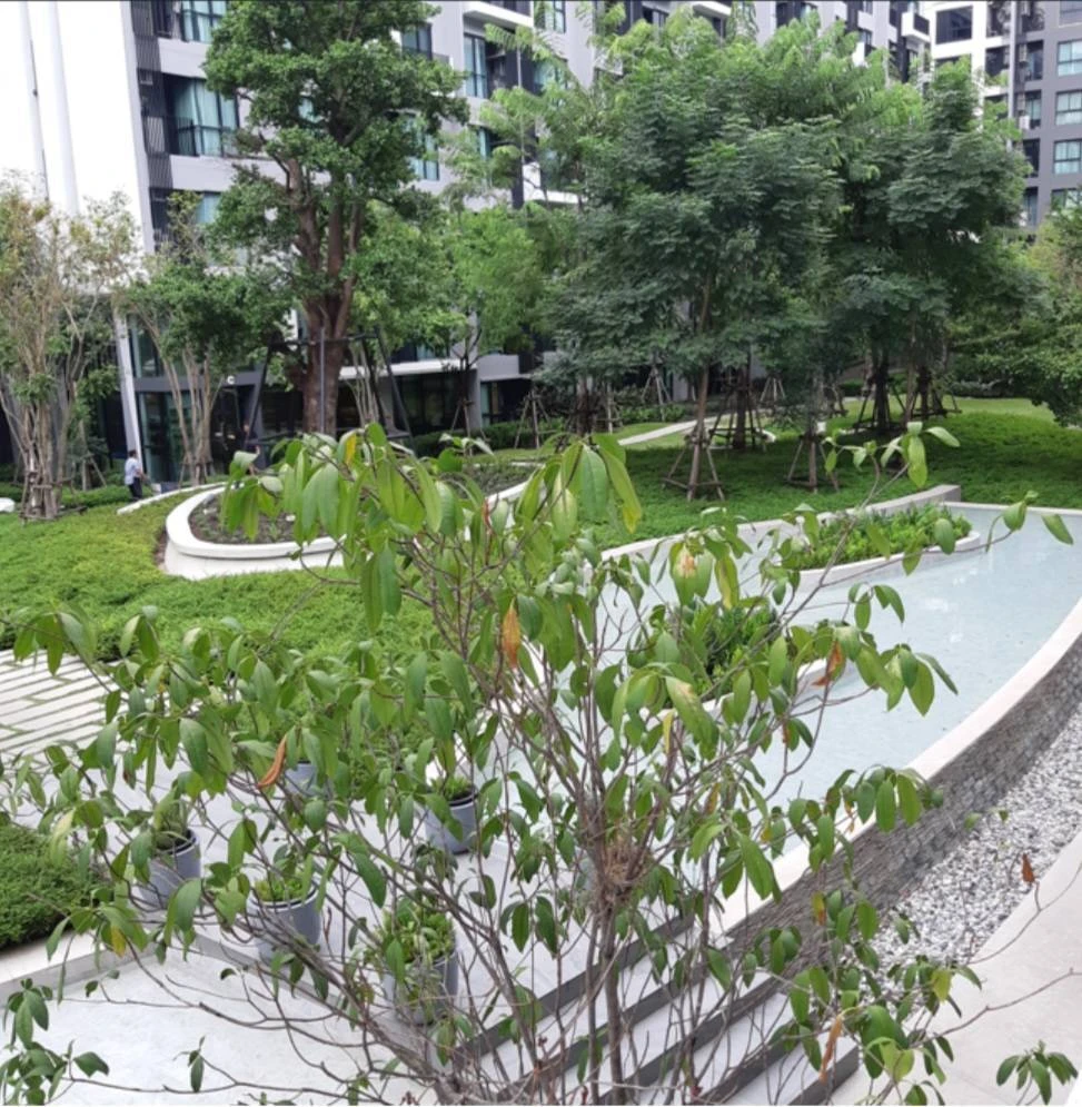 🏠🌃 ให้เช่า คอนโด เคฟ ทาวน์ ซิฟท์ 🏠🌃