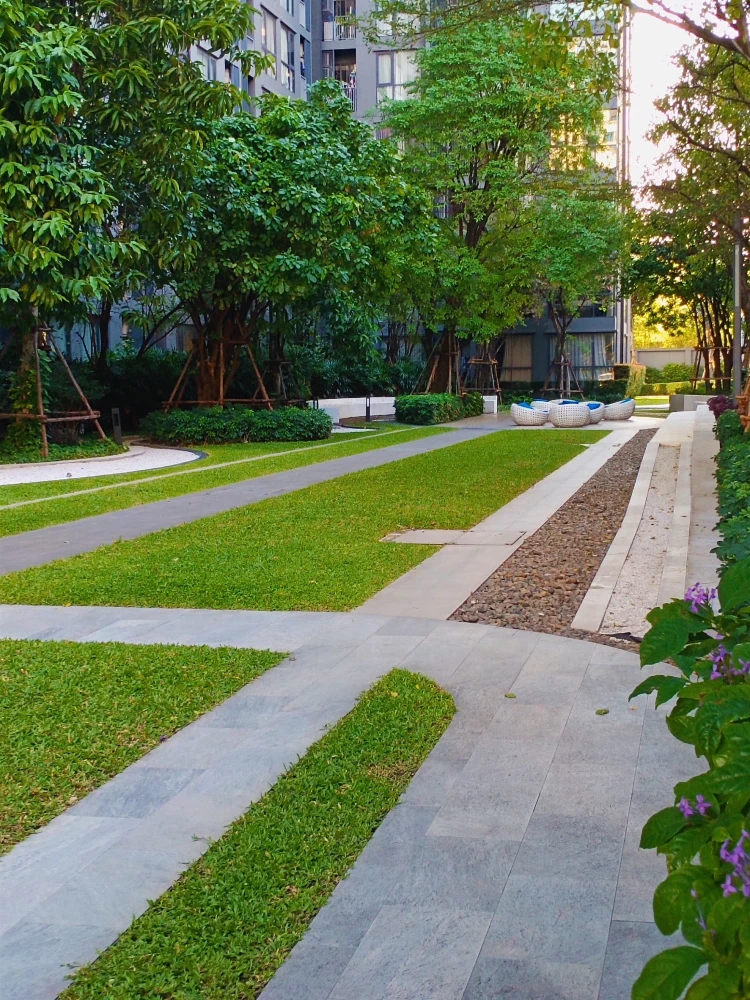 ✨ ให้เช่า คอนโด เดอะ ไลน์ วงศ์สว่าง แต่งครบ น่าอยู่มาก จองเลย!!