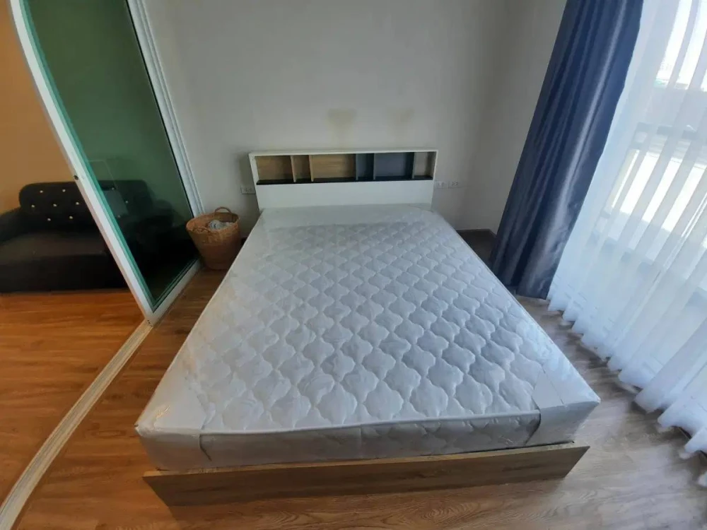 🏠🌃 Condo for Rent: Le Creek Sukhumvit 64/2 🏠🌃