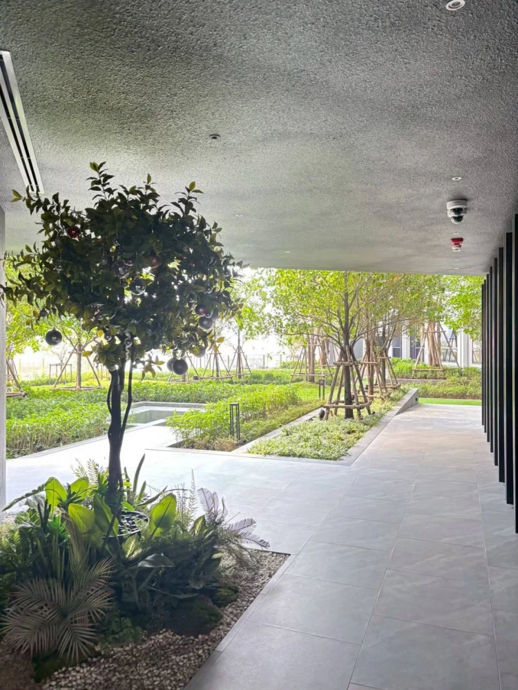 ✨ ให้เช่า คอนโด Chapter One Spark Charan ห้องสวย พร้อมอยู่ จองเลย!!