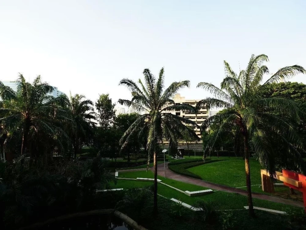 🏙️ ให้เช่า ห้องสวยสไตล์ Loft ที่ The LINE พหลโยธิน พาร์ค 🌿