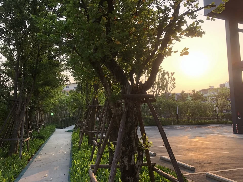 🏢 ให้เช่า | ไอดีโอ สุขุมวิท 93