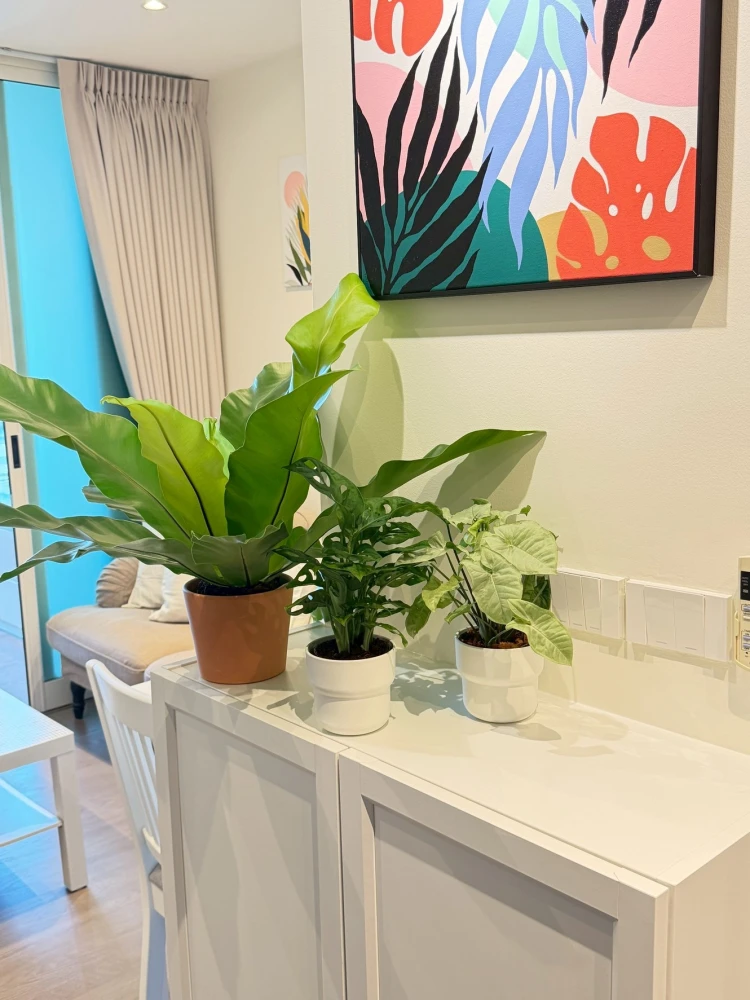 🏙️🌙 ให้เช่า A Space ID อโศก-รัชดา ห้องสวย ของใหม่ครบ พร้อมอยู่! 🌙🏙️