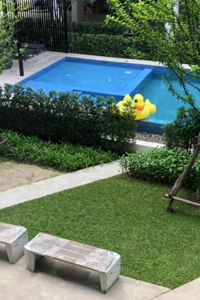 🍃🏡 ให้เช่า Sena Kith รังสิต–ติวานนท์ | ห้องใหม่เอี่ยม ฟีลอบอุ่น พร้อมอยู่! 🏡🍃