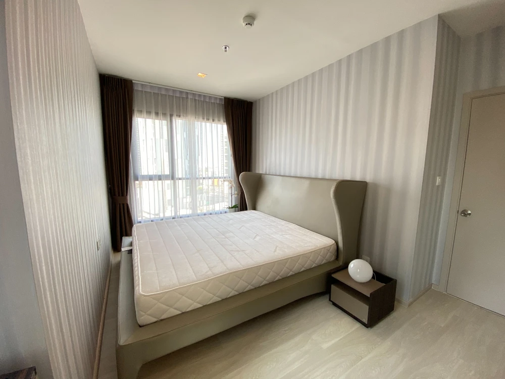 🪄💗 Life Sukhumvit 48 ห้องสวยให้เช่า พร้อมเข้าอยู่! 💗🪄