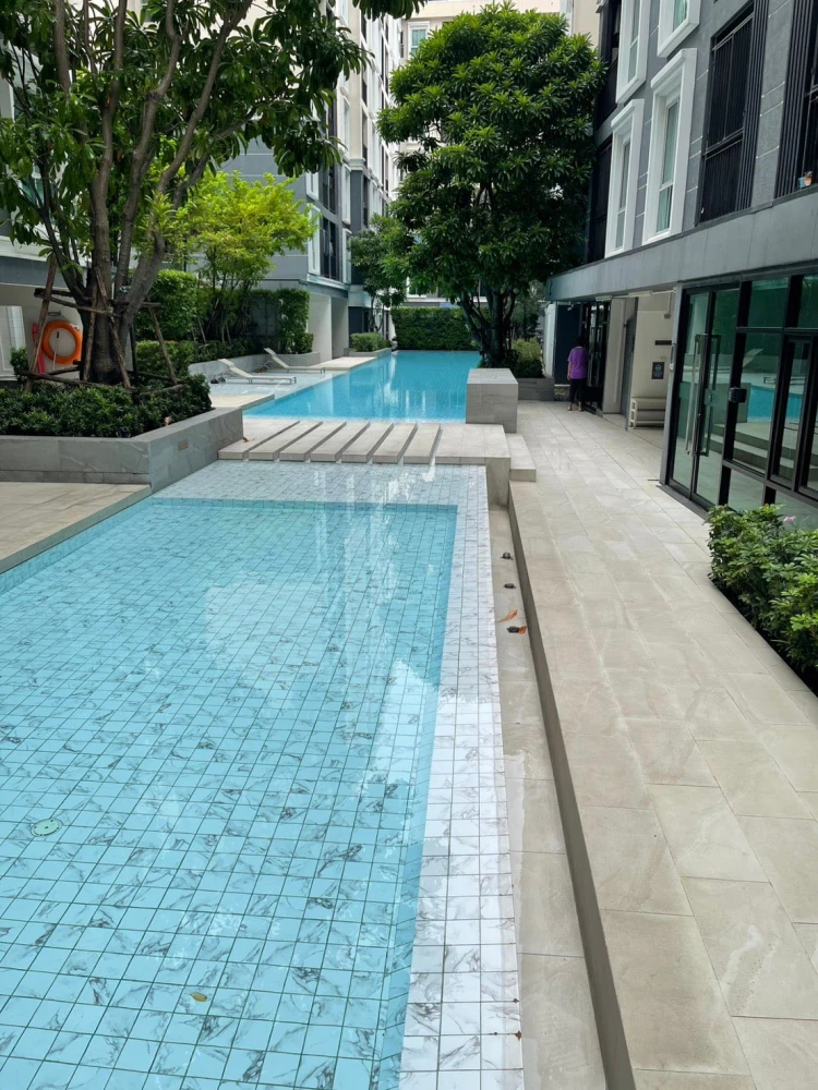 🌿🏢 For Sale & Rent: Plum Condo Mix Chaengwattana Station | Brand New Units, Pool Views, Walking Distance to BTS! 🏢🌿