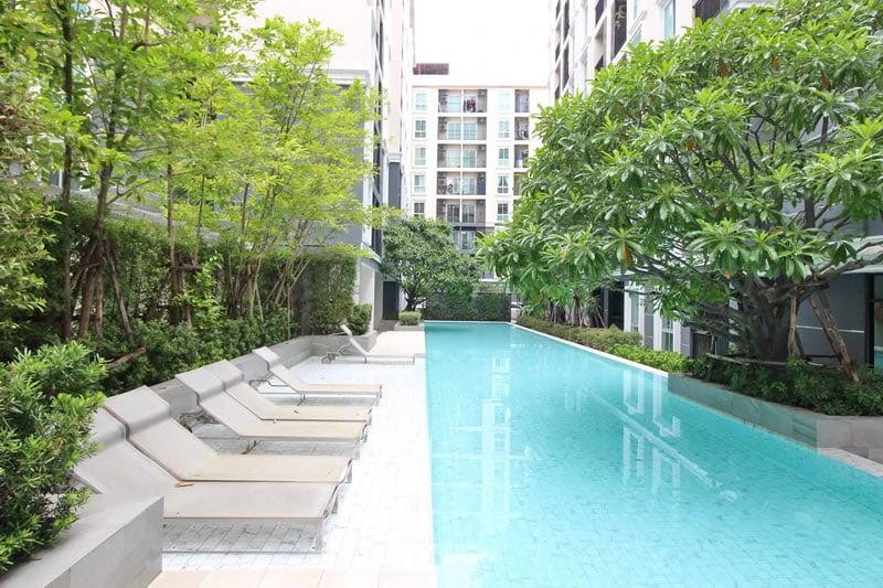 🌿🏢 For Sale & Rent: Plum Condo Mix Chaengwattana Station | Brand New Units, Pool Views, Walking Distance to BTS! 🏢🌿