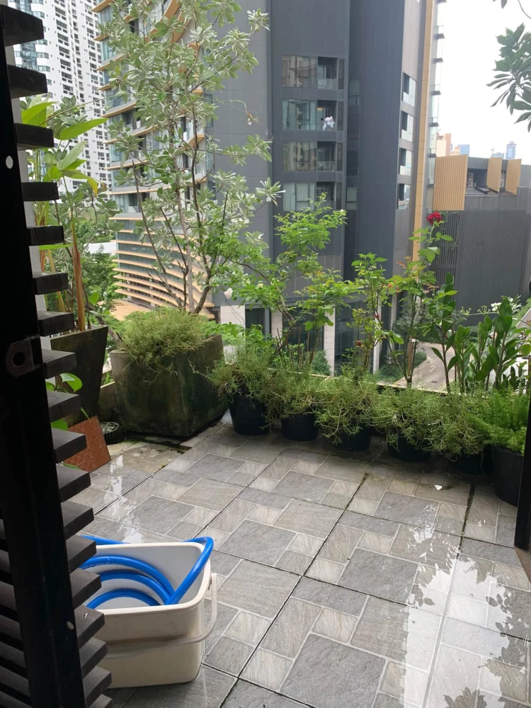 🏡 For Sale & Rent | The Emporio Place